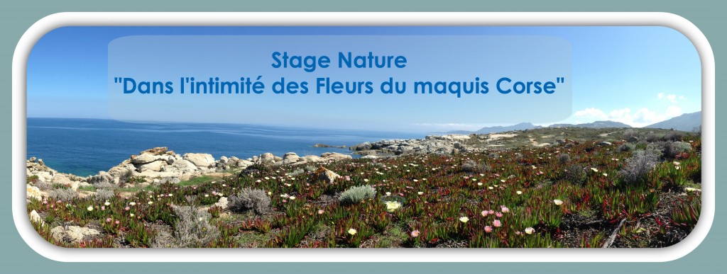 Stage Nature 2016